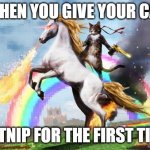 Cat riding unicorn | WHEN YOU GIVE YOUR CAT; CATNIP FOR THE FIRST TIME | image tagged in cat riding unicorn | made w/ Imgflip meme maker