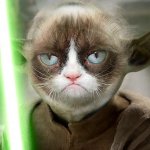 Grumpy Cat Yoda