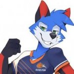 SonicFox