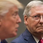 McConnell hates Trump, gives him the stinkeye