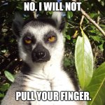 pull my finger | NO, I WILL NOT; PULL YOUR FINGER. | image tagged in annoyed monkey,finger,pull,really,bored,monkey | made w/ Imgflip meme maker