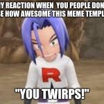 "Twirps!" James Team Rocket | MY REACTION WHEN  YOU PEOPLE DON'T REALISE HOW AWESOME THIS MEME TEMPLATE IS:; "YOU TWIRPS!" | image tagged in twirps james team rocket | made w/ Imgflip meme maker