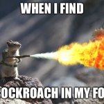 Squirrel With Flamethrower | WHEN I FIND; A COCKROACH IN MY FOOD | image tagged in squirrel with flamethrower | made w/ Imgflip meme maker