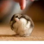 i cant hear you!