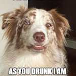 Skeptical Dog Face | I'M NOT AS THINK; AS YOU DRUNK I AM | image tagged in skeptical dog face | made w/ Imgflip meme maker