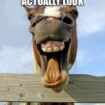 horsesmile | THE WAY YOU ACTUALLY LOOK; WHEN YOU LAUGH | image tagged in horsesmile | made w/ Imgflip meme maker