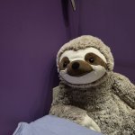 stephano the sloth