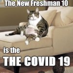 The New Freshman 10 | The New Freshman 10; is the; THE COVID 19 | image tagged in fat cat on lounge chair,the covid 19,freshman 10,weight gain,quarantine,quarantine weight gain | made w/ Imgflip meme maker