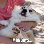 A classic style meme to get rid of your Monday blues. | MONDAYS... | image tagged in corgi monday by kevin | made w/ Imgflip meme maker