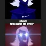 whom | MY DOG BEFORE DAD GETS UP; MY DOG AFTER DAD GETS UP | image tagged in whom | made w/ Imgflip meme maker