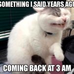Pained cat | SOMETHING I SAID YEARS AGO; COMING BACK AT 3 AM | image tagged in pained cat | made w/ Imgflip meme maker