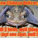 Corona China Cane Toads | New Chinese Delicacy. Yarra Man; Kill 3 birds, well things, with just one shot, well feed. | image tagged in corona china cane toads | made w/ Imgflip meme maker