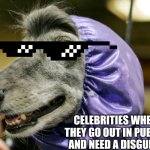 Funny dog | CELEBRITIES WHEN THEY GO OUT IN PUBLIC AND NEED A DISGUISE | image tagged in funny dog | made w/ Imgflip meme maker