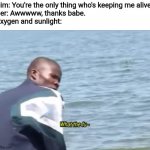 What the fu- | Him: You're the only thing who's keeping me alive.

Her: Awwwww, thanks babe.

Oxygen and sunlight: | image tagged in what the fu-,oxygen,sunlight,memes,girlfriend,boyfriend | made w/ Imgflip meme maker