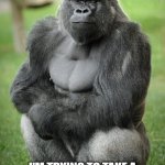 gorilla vegan | STUPID! I'M TRYING TO TAKE A BATH. DON'T STARE AT MY PRIVATE PARTS. GO AWAY!!!!!!!! | image tagged in gorilla vegan | made w/ Imgflip meme maker