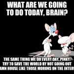 Pinky And The Brain | WHAT ARE WE GOING TO DO TODAY, BRAIN? THE SAME THING WE DO EVERY DAY, PINKY. TRY TO SAVE THE WORLD BY NOT GOING OUT THE DAMN HOUSE LIKE THOSE MORONS ON THE INTERWEBS. | image tagged in pinky and the brain | made w/ Imgflip meme maker
