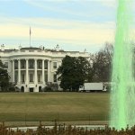 White House green fountain