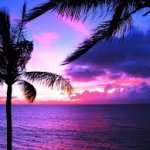 Pink Hawaiian Sunset
