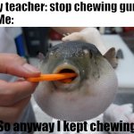 pufferfish carrot | My teacher: stop chewing gum!
Me:; So anyway I kept chewing | image tagged in pufferfish carrot | made w/ Imgflip meme maker