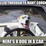 Dog in car | YOU SCROLLED THROUGH TO MANY CORONA MEMES; HERE’S A DOG IN A CAR | image tagged in dog in car | made w/ Imgflip meme maker