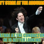 Orchestra Conductor | DON'T STARE AT THE ADDUEANCE; STARE AT THE CONDUCTOR HE IS BETTER LOOKING | image tagged in orchestra conductor | made w/ Imgflip meme maker