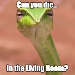 I pretty much doubt so... | Can you die... In the Living Room? | image tagged in skeptical snake,living room,snake,snek,death,die | made w/ Imgflip meme maker