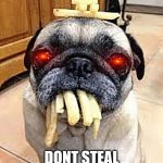 Fries pug | GUYS; DONT STEAL MY FRIES!!!!! | image tagged in fries pug | made w/ Imgflip meme maker