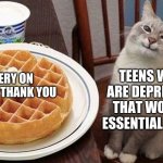 Cat with Waffle | EVERY ON SAYING THANK YOU; TEENS WHO ARE DEPRESSED THAT WORK A ESSENTIAL STORE | image tagged in cat with waffle | made w/ Imgflip meme maker