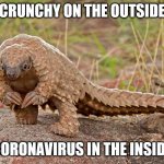 ummm pangolin | CRUNCHY ON THE OUTSIDE; CORONAVIRUS IN THE INSIDE | image tagged in ummm pangolin | made w/ Imgflip meme maker