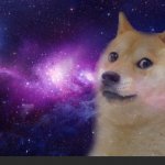 universe doge