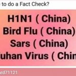 wuhanic meme