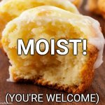 Moist | MOIST! (YOU'RE WELCOME) | image tagged in muffin,moist | made w/ Imgflip meme maker