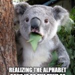 Suprised Koala | ME IN THIRD GRADE; REALIZING THE ALPHABET SONG IS TO THE TUNE OF TWINKLE TWINKLE LITTLE STAR | image tagged in suprised koala | made w/ Imgflip meme maker