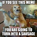 MEAT DOG | IF YOU SEE THIS MEME; YOU ARE GOING TO TURN INTO A SAUSAGE | image tagged in meat dog | made w/ Imgflip meme maker