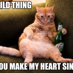 beer cat | WILD THING; YOU MAKE MY HEART SING | image tagged in beer cat | made w/ Imgflip meme maker