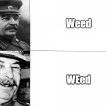 Stalin Approves | Weed; WEed | image tagged in memes,happy stalin | made w/ Imgflip meme maker