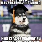 Graduate Dog | YOU HAVE SEEN TO MANY CARONAVIRIS MEMES. HERE IS A DOG GRADUATING FROM COLLAGE UNLIKE YOU. | image tagged in graduate dog | made w/ Imgflip meme maker