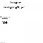 Imagine | owning imgflip pro; me | image tagged in imagine | made w/ Imgflip meme maker