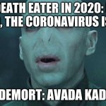 Voldemort | A DEATH EATER IN 2020: MY LORD, THE CORONAVIRUS IS OU-; VOLDEMORT: AVADA KADVRA | image tagged in voldemort | made w/ Imgflip meme maker