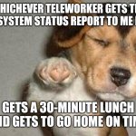 The Boss | WHICHEVER TELEWORKER GETS THE DAILY SYSTEM STATUS REPORT TO ME FIRST... GETS A 30-MINUTE LUNCH AND GETS TO GO HOME ON TIME | image tagged in awesome dog | made w/ Imgflip meme maker