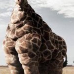 Fat Giraffe meme