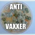 petri dish full | ANTI; VAXXER | image tagged in petri dish full | made w/ Imgflip meme maker