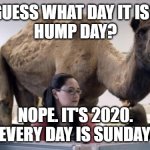2020 Hump Day Camel | GUESS WHAT DAY IT IS?
HUMP DAY? NOPE. IT'S 2020.
 EVERY DAY IS SUNDAY! | image tagged in hump day camel,sunday,2020 | made w/ Imgflip meme maker