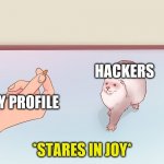 the stare of joy | MY PROFILE; HACKERS | image tagged in the stare of joy | made w/ Imgflip meme maker