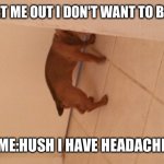 pups are a pain | PUPPY:LET ME OUT I DON'T WANT TO BE IN HERE; ME:HUSH I HAVE HEADACHE | image tagged in puppies are a pain | made w/ Imgflip meme maker