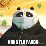 Kungflu panda | KUNG FLU PANDA | image tagged in kungflu panda | made w/ Imgflip meme maker