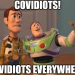 COVIDIOTS EVERYWHERE | COVIDIOTS! COVIDIOTS EVERYWHERE! | image tagged in buzz woody | made w/ Imgflip meme maker