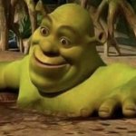 Shocked Shrek meme