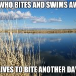 Locomotive Springs | HE WHO BITES AND SWIMS AWAY; LIVES TO BITE ANOTHER DAY | image tagged in locomotive springs | made w/ Imgflip meme maker