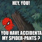 Spider-Pants | HEY, YOU! DO YOU HAVE ACCIDENTALLY MY SPIDER-PANTS ? | image tagged in hiding in bushes spider-man,memes,funny,pawello18,spider man | made w/ Imgflip meme maker